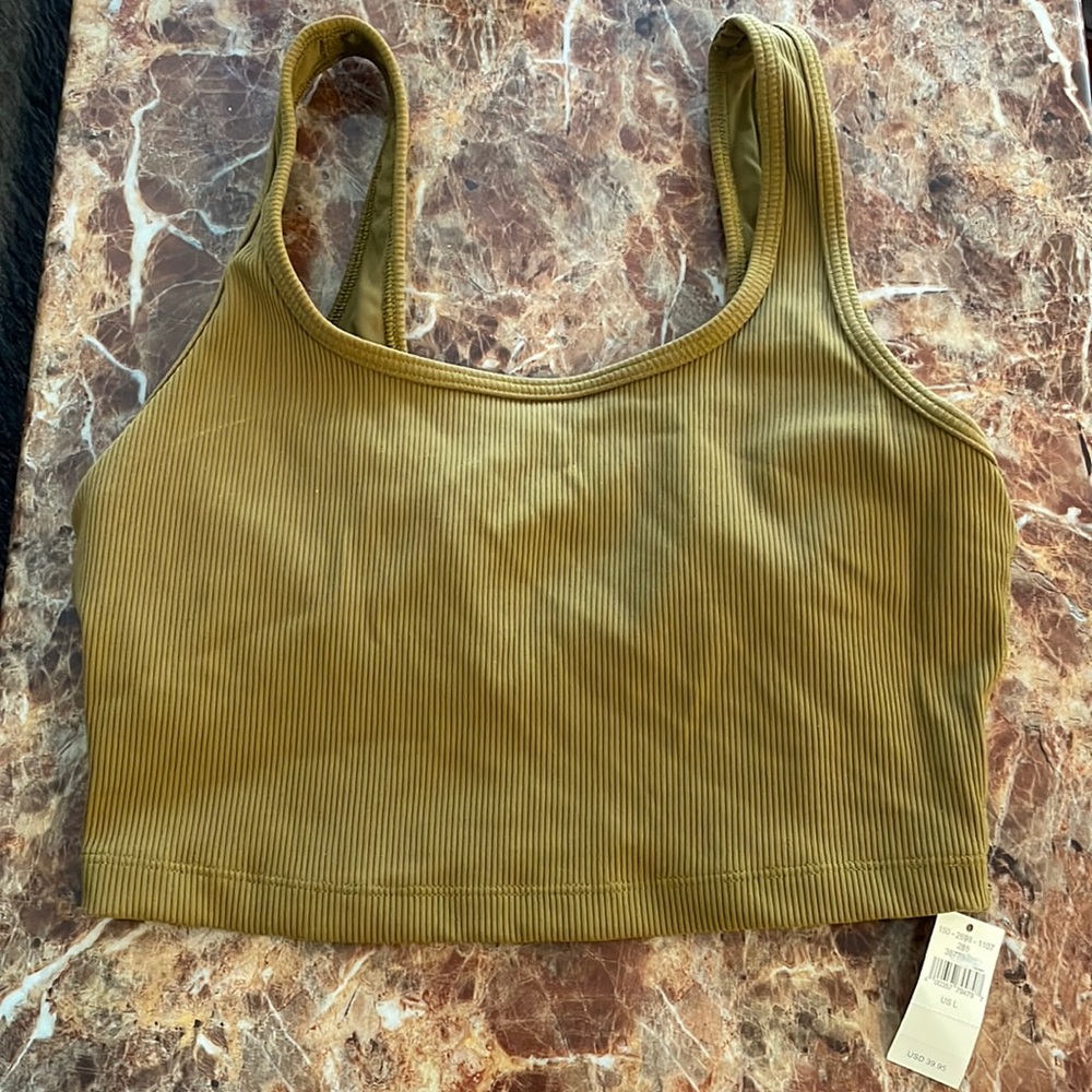Aerie long line bra